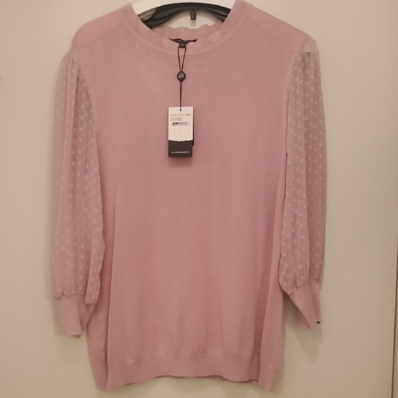 Adrianna Papell Sweaters - Sheer Sleeve Pink Sweater